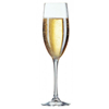 Champagneglas 24cl Korf 36 stuks