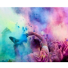 Color Run – Holi cow poederpakket 10x100gram