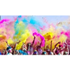 Color Run – Holi cow poederpakket 10x100gram