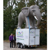 Olifant 4m