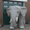 Olifant 4m