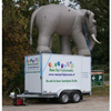 Olifant 4m