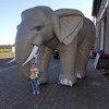 Olifant 4m