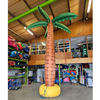 Palmboom 6m