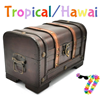 Verkleedkist met Props - Tropical