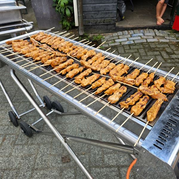 Gasbarbecue pro (opklapbaar) incl schoonmaakkosten