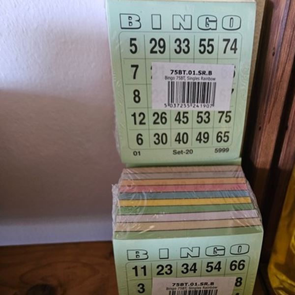 1000 bingokaarten in 10 kleuren 1000 bingokaarten in 10 kleuren