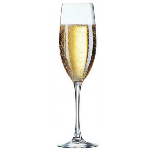 Champagneglas 24cl Korf 36 stuks
