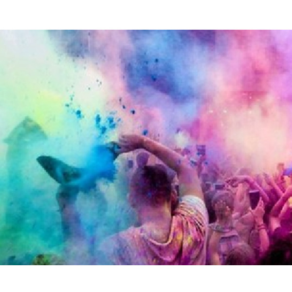 Color Run – Holi cow poederpakket 10x100gram