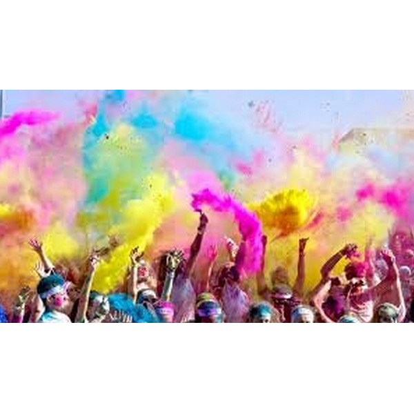 Color Run – Holi cow poederpakket 10x100gram