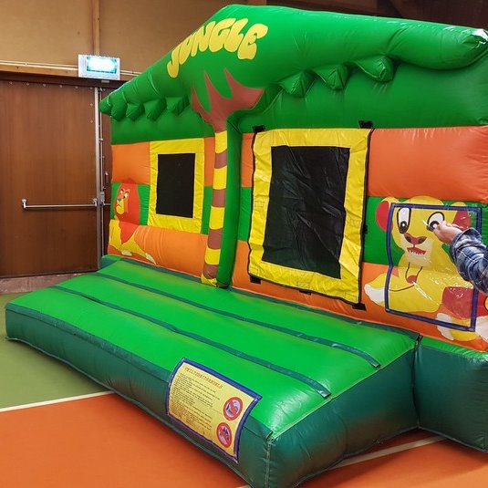 Ballenbak - Jungle leeuw overdekt (Incl. ballenbakballen)