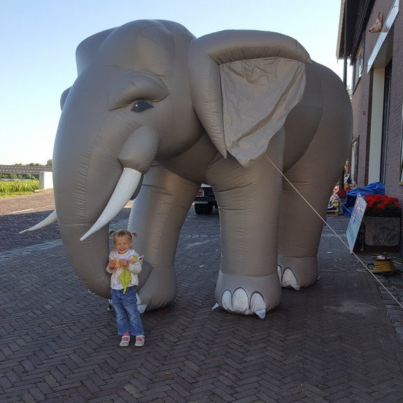 Olifant 4m