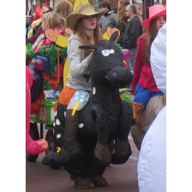 Mascottepak Opblaasbaar kostuum - Paard zwart