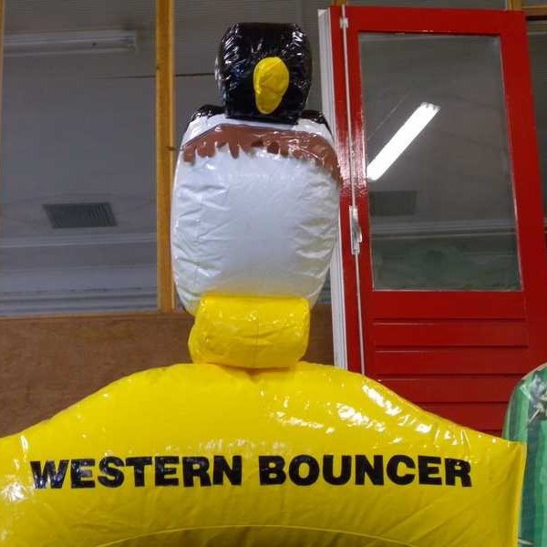 Springkussen Mini cowboy met slide