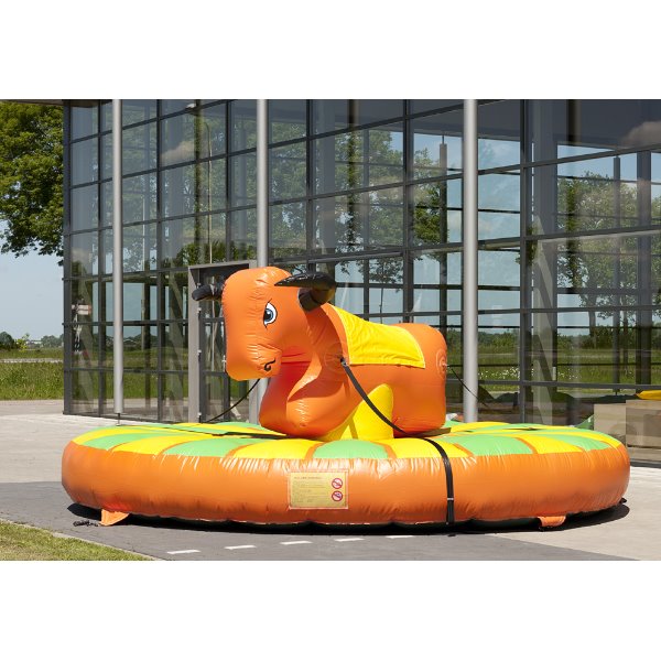 Trekrodeo stier Herman