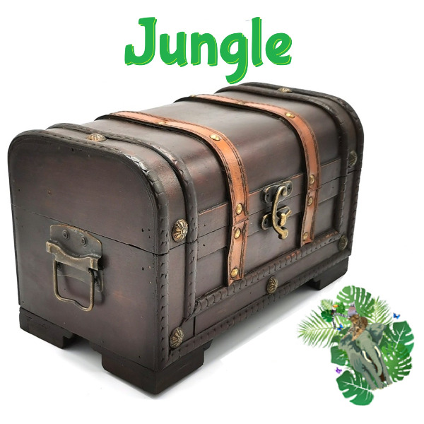 Verkleedkist met Props - Jungle